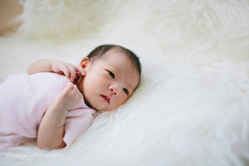 Amelia-1 - newborn - photography.jpg