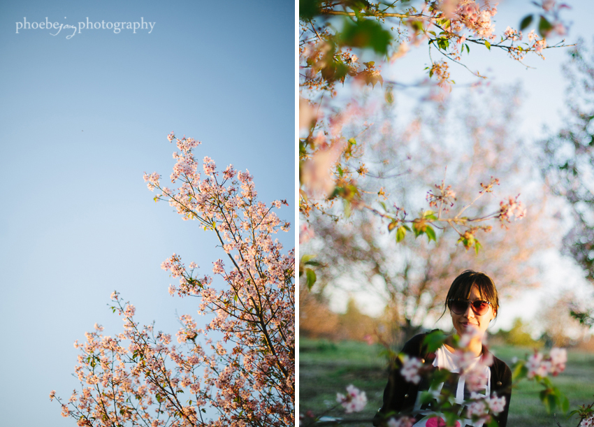Lake Balboa - Phoebe Joy Photography -cherry blossoms -3.jpg