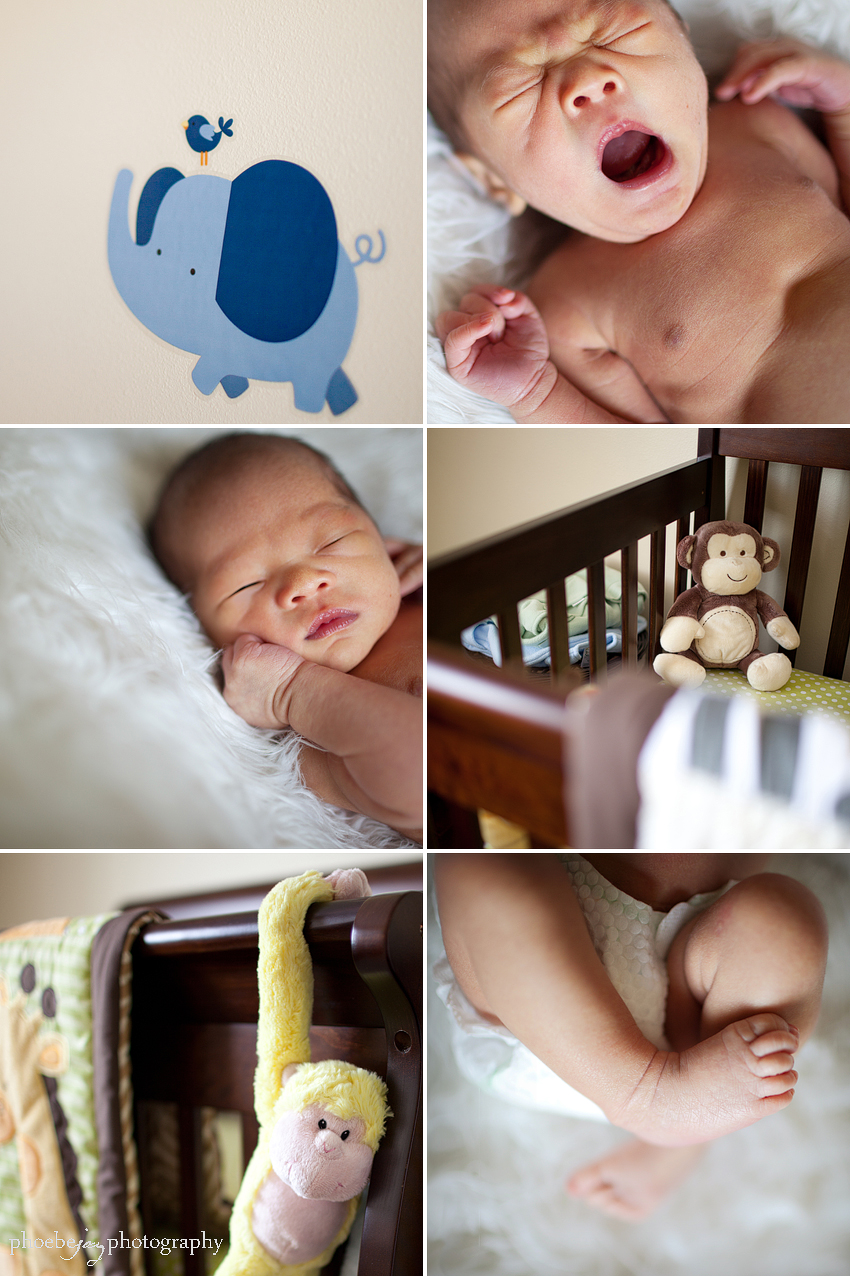 T baby session- 8new.jpg